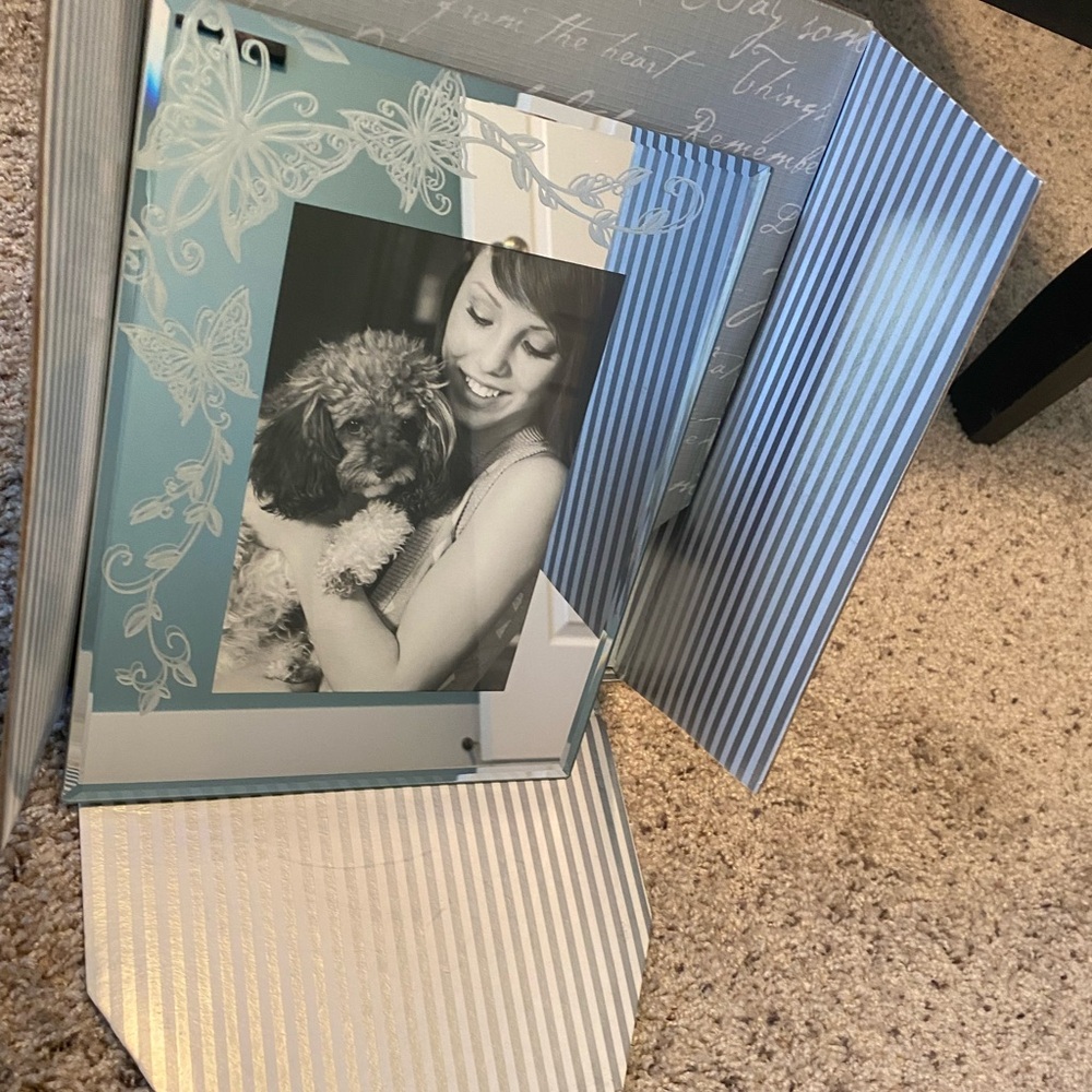 Mirrored Butterfly Picture Frame